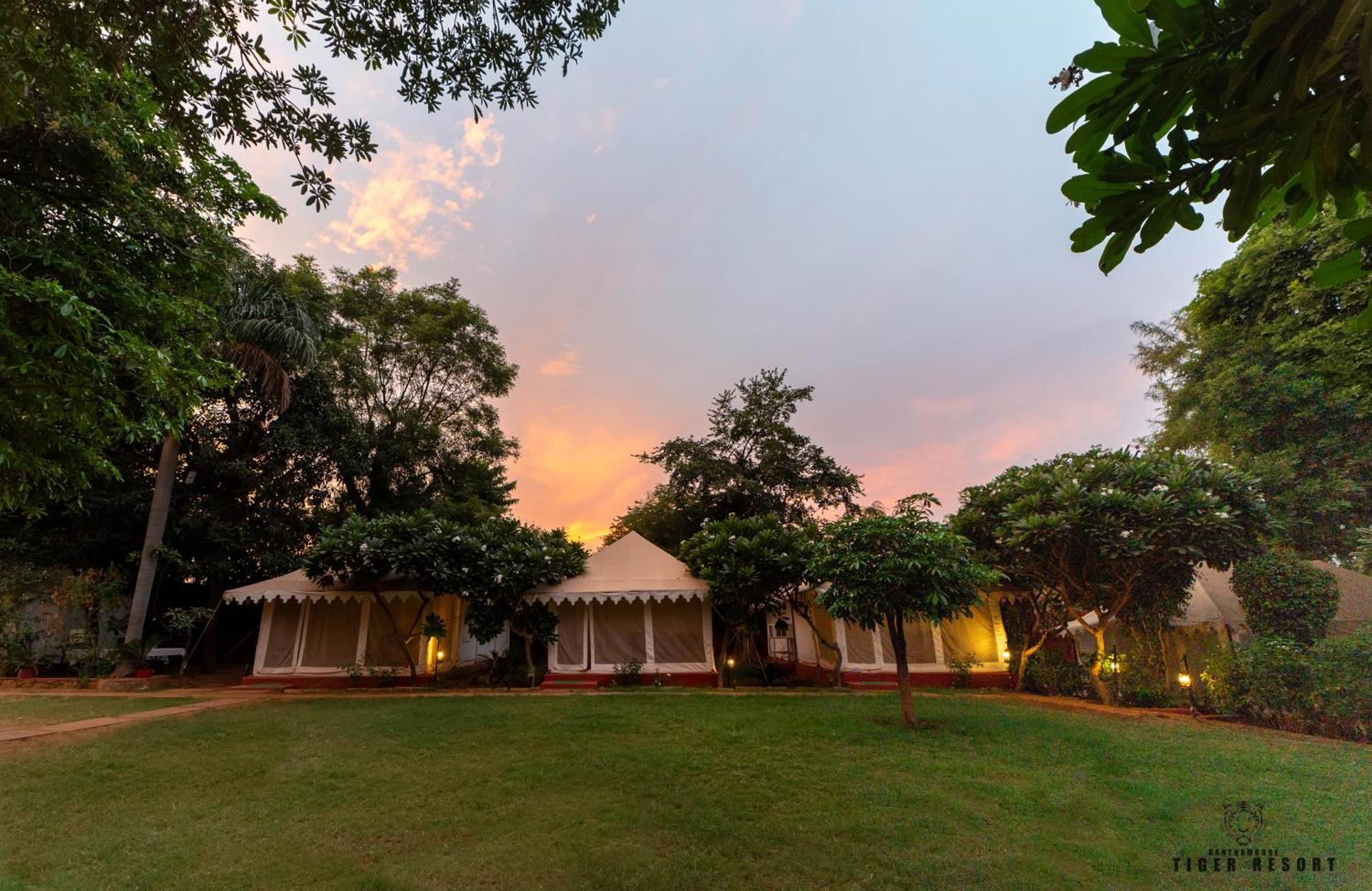 Ranthambore Tiger Resort Sawai Madhopur Bagian luar foto